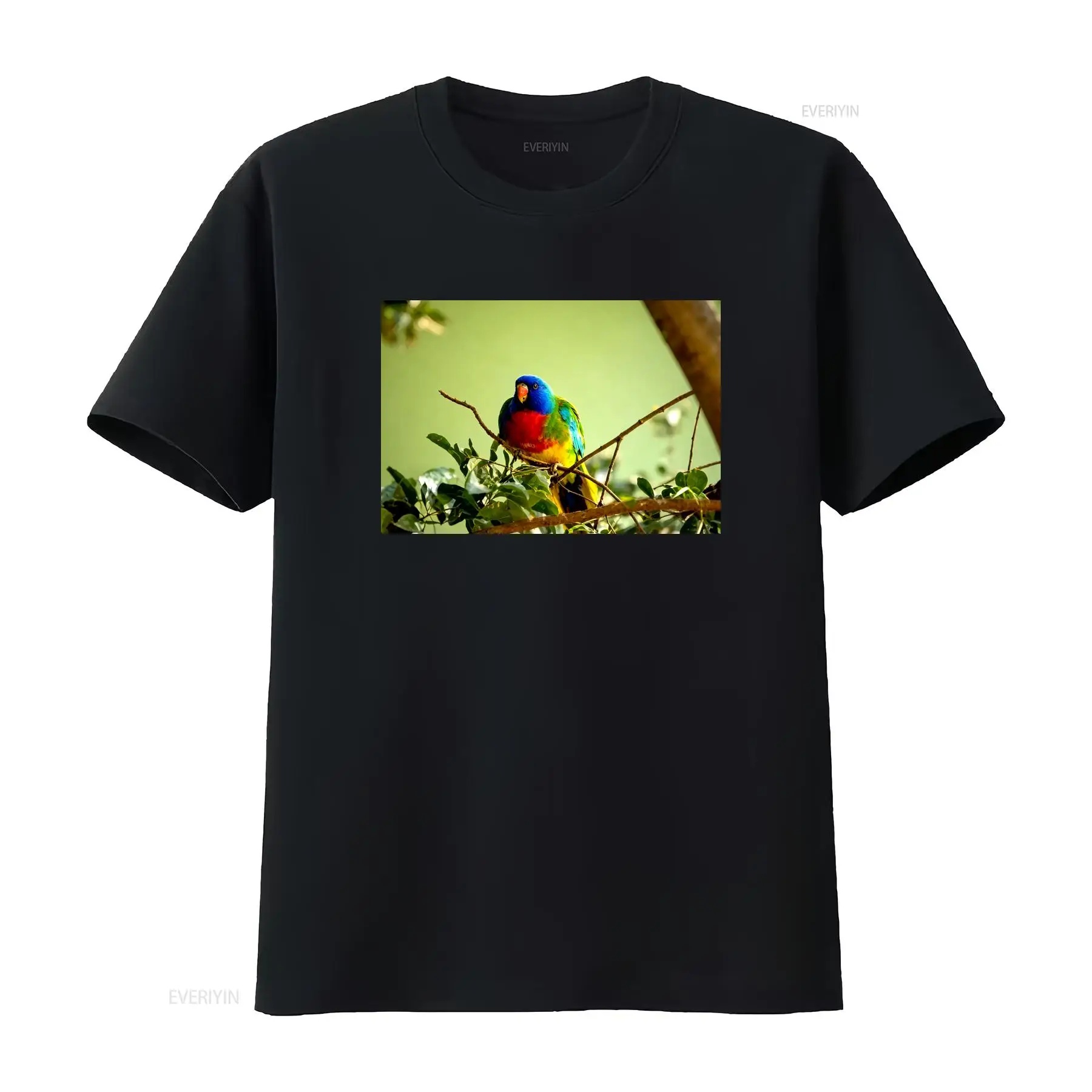 Mens Fashion Australia - Scarlet Chested Parrot Made in Australia