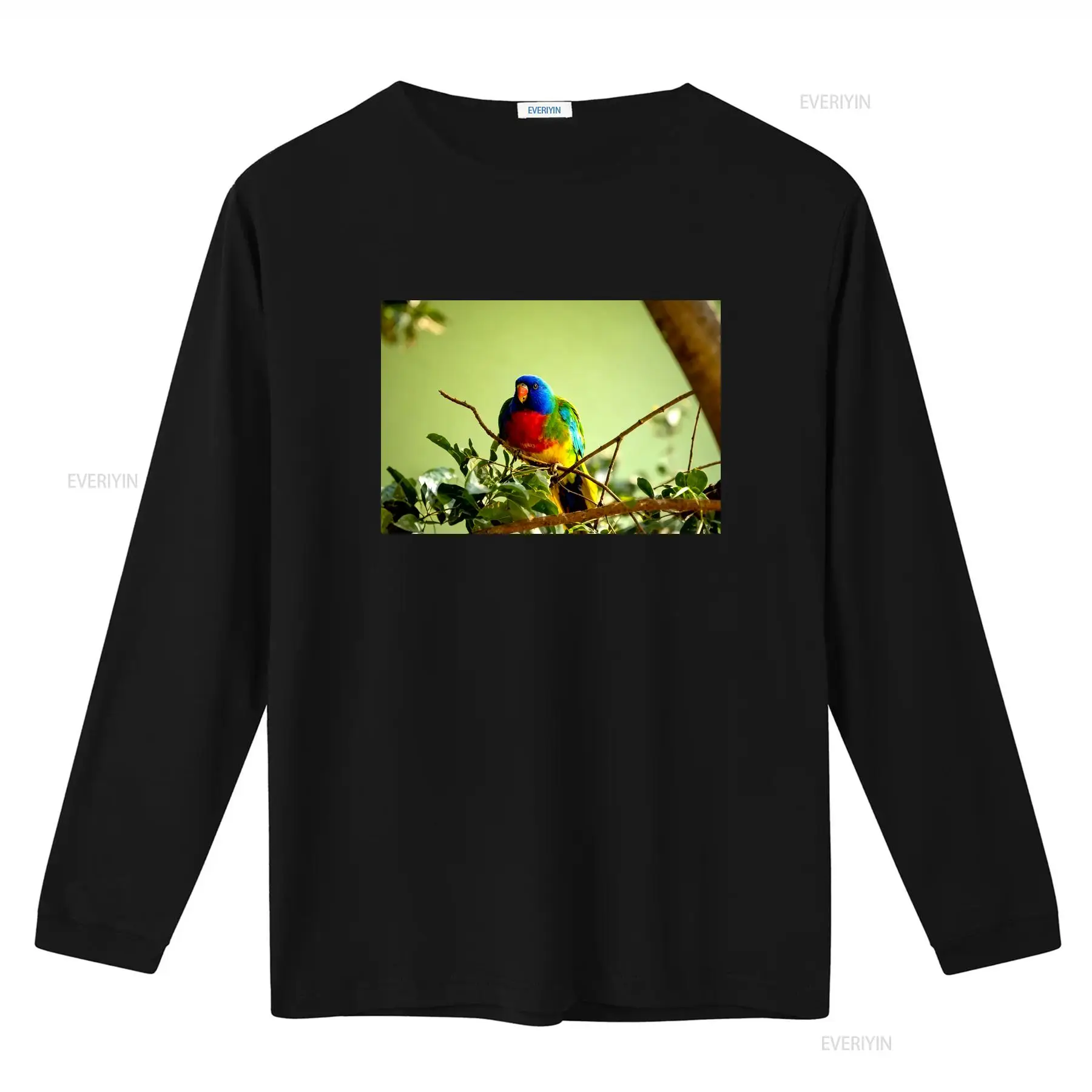 Scarlet Chested Parrot Made in - đánh giá và giá Mens Fashion Australia